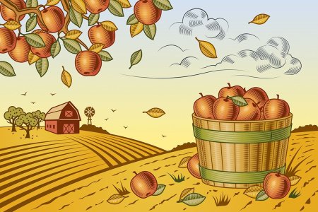 Крестьяне собирают урожай
