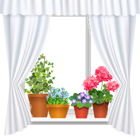 Окно с занавесками рисунок