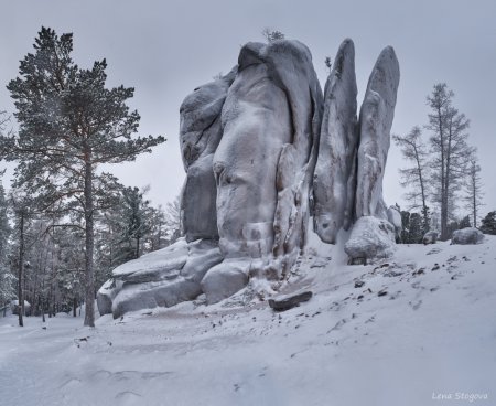 Заповедник столбы логотип