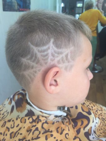 Выстриг паутина сбоку