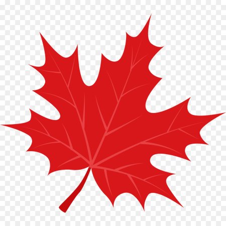 Красный кленовый лист