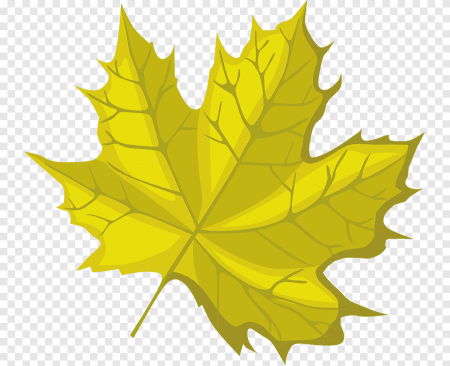 Кленовые листочки