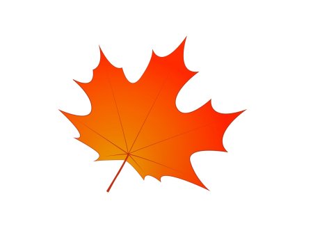 Листья рисунок