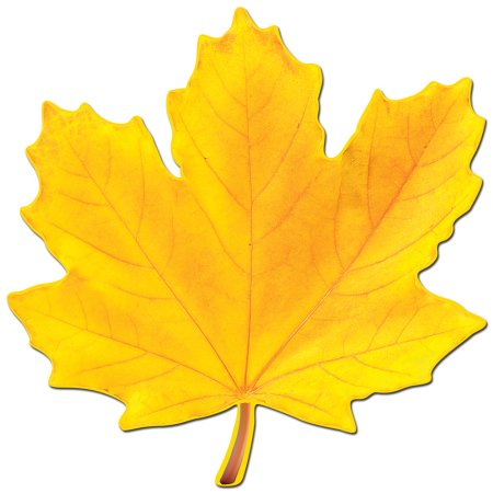 Кленовые листочки желтые