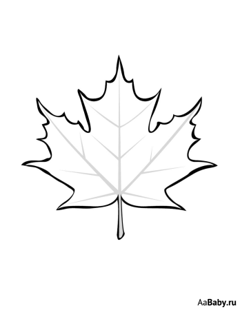 Разноцветные кленовые листья