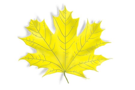 Кленовый лист трафарет легкий