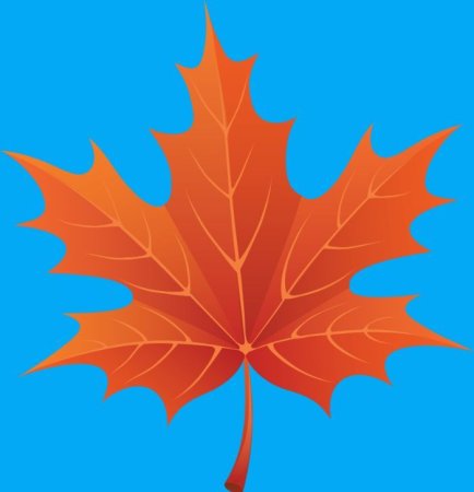 Осенние листья для детей