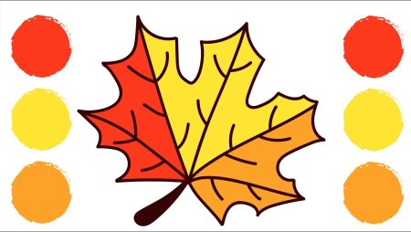 Поэтапное рисование кленового листа