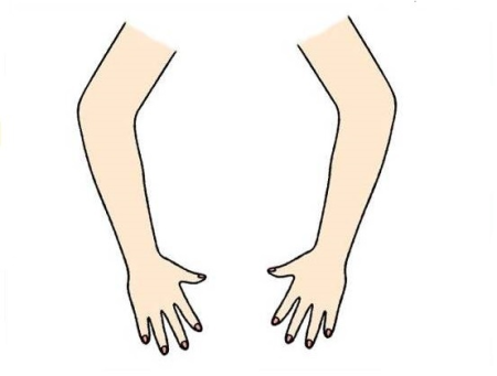 Часть тела руки для детей