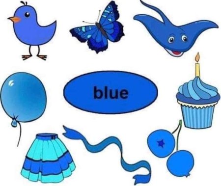Предметы голубого цвета для детей