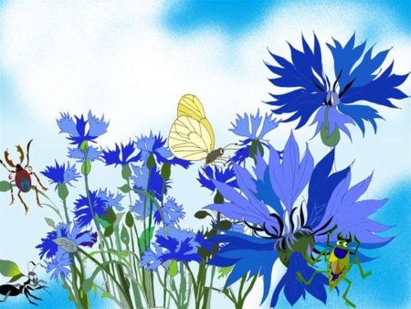 Васильки мультяшные