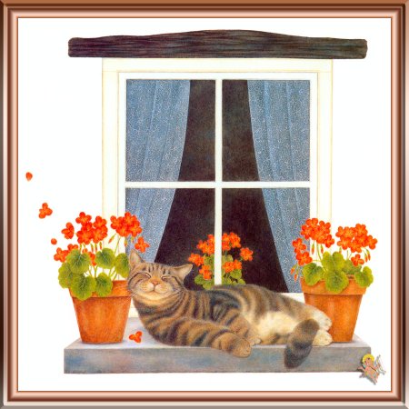 Котик на окошке