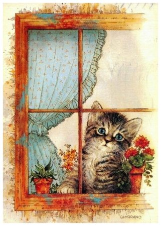 Декупаж котики в окне