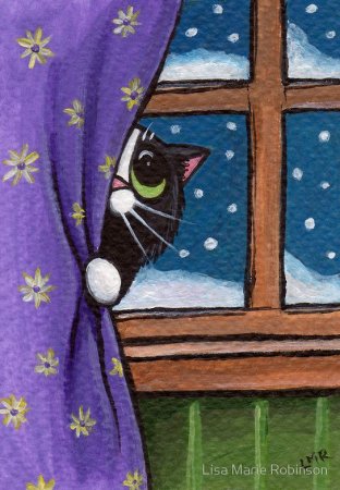 Кошка на окне