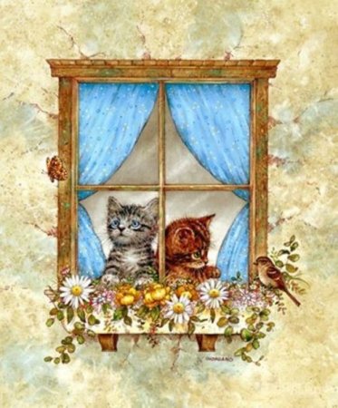 Котенок на окошке