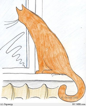 Кошка сидит на окне рисунок