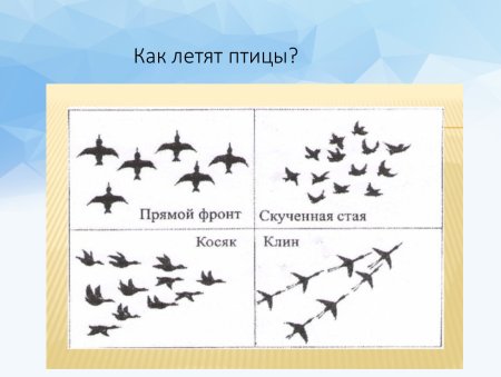 Рисование птицы улетают на Юг