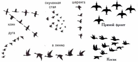 Перелетные птицы картина
