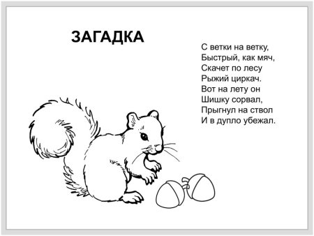 Загадки о животных для детей 1 класса