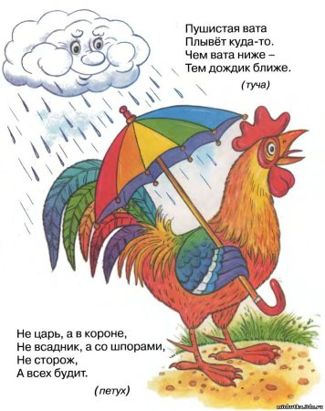 Загадки раскраски про овощи