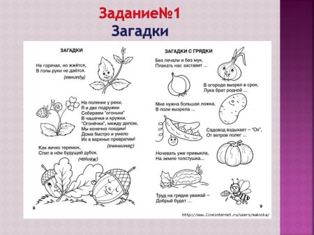 Загадки для малышей