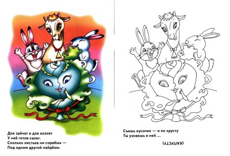 Загадки с рисунками