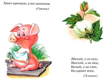 Загадки и снизу отгадки