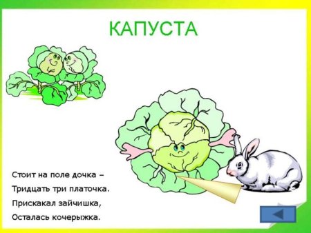 Загадки про осень для дошкольников