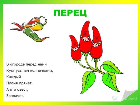 Загадки для детей 2-3 лет с ответами