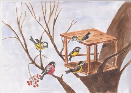 Рисование зимующие птицы