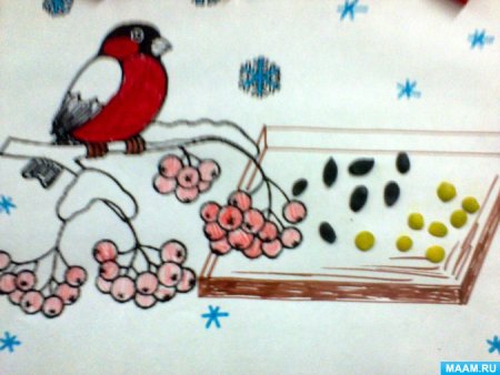 Ветка рябины» (рисование с натуры) (т.с.Комарова, стр.40)