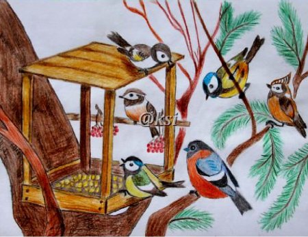 Последняя синичка Белов