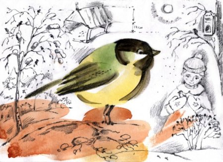 Рисование зимующие птицы