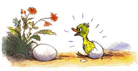 Чужое яичко