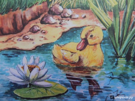 К.Д Ушинский чужое яичко