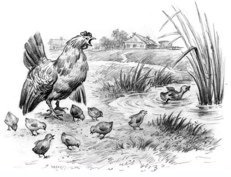 Ушинский чужое яичко иллюстрации