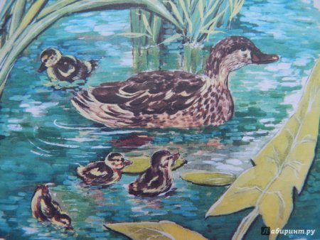 Константин Ушинский чужое яичко