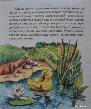 К.Д Ушинский чужое яичко