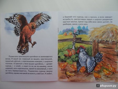 Ушинский чужое яичко иллюстрации