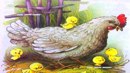 Чужое яичко Ушинский читать