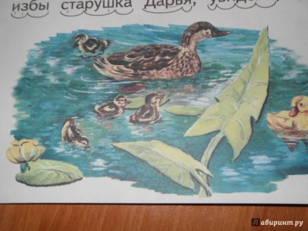 Константин Ушинский петушок с семьей