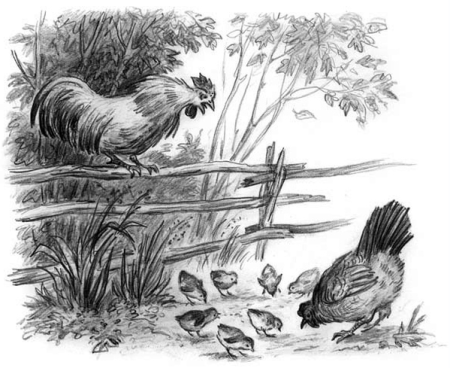 Константин Ушинский чужое яичко