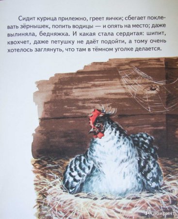 Рисунок к рассказу Гадкий утенок