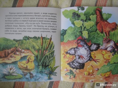 Раскраски по сказкам Андерсена для детей Гадкий утенок