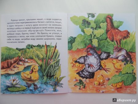 К.Д Ушинский чужое яичко