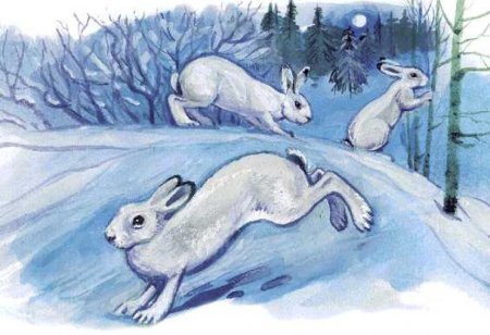 Кролик в снегу для декупажа