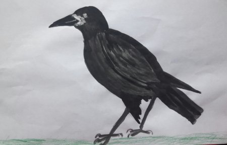 Рисование птицы Грач