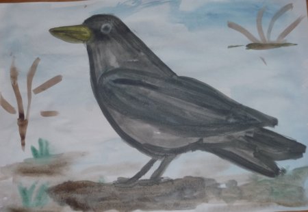 Рисование птицы Грач