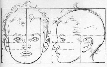 Построение портрета сбоку