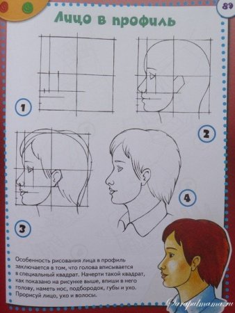 Профиль лица для рисования для детей